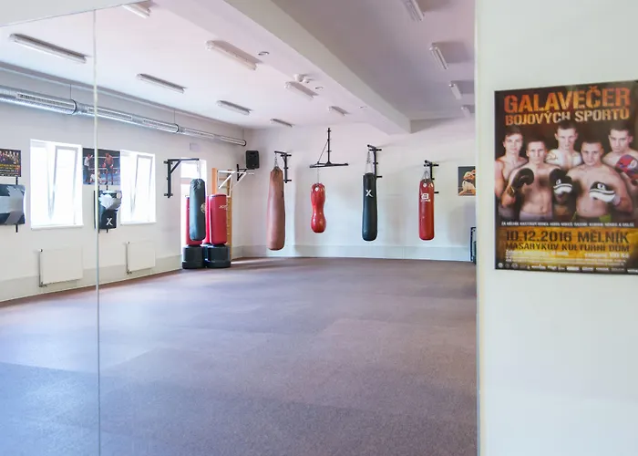 Olympionik 3* Melnik