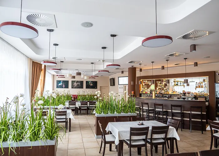 Olympionik 3* Melnik